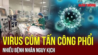 Cảnh báo: Virus cúm tấn công phổi, số ca bệnh tăng chóng mặt, nhiều bệnh nhân nguy kịch | BGT