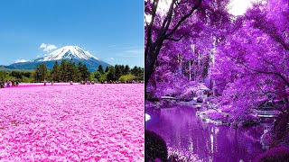 MOST COLORFUL Places in the World