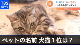 ペットの名前 犬猫１位は「むぎ」 理由は不明・・・