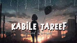 Kabil E Tareef | Slowed & Reverb Sad Lofi Songs.