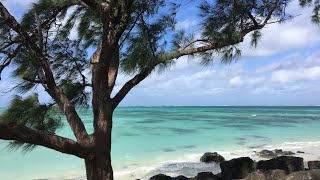 Magical Mauritius 🇲🇺  | Full Trip itinerary | Day wise things to do | Package cost for couples |