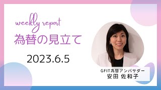 ＜安田佐和子の為替の見立て＞ドル円振り返り＆今後2週間の見立て（2023.6.5）