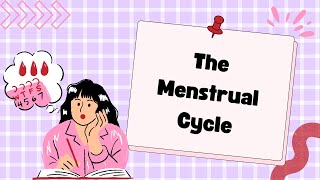 The Menstrual Cycle