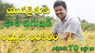 విరగ పండుతున్న నూతన వరి రకం MTU 1271 || ఎకరాకు 70 బస్తాల దిగుబడి || వెంకట్ రెడ్డి కుమార్ 9848018679