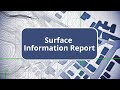 TBC - Surface Information Report - Surface Modeling Edition Commands