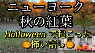 【Halloween and Fall foliage in New York 】ハロウィンで起こった怖い話しとニューヨーク秋の紅葉