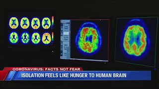 Isolation Feels Like Hunger to Human Brain