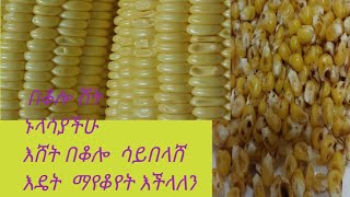 # ኑላሣያችሁ #በቆሎ እሸት ሳይበለሸ እዴት እናቆየዋሀን