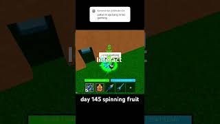 day 145|what fruit?|#roblox #bloxfruts #robloxfruit #gaming