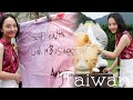 TAIWAN Vlog Day 3! (Jiufen, Shifen, Raohe Night Market, etc...)