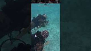 How Recon Marines Navigate Underwater with the TAC-100 Compass Board