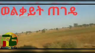 #Ethiopianmusic #ወልቃይትጠገዴ Mehari Degefaw - ወልቃይት ጠገዴ