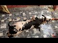 angry fateh jangi bull qurbani dhani bull crazy vines