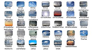 Every Cloud Type Explained in 8 Minutes
