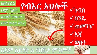 ለደም አይነት ኦ የእህል አጠቃቀም /Cereals and similar foods blood type O