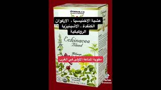 عشبة الاخنيسيا - Echinacea herb