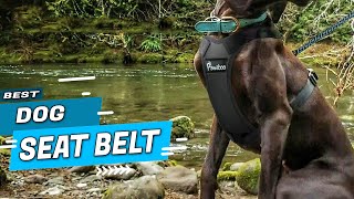 Top 5 Best Dog Seat Belts Review in 2022
