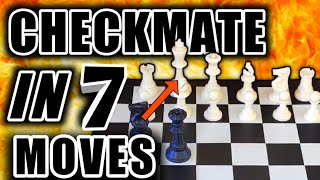 Win Chess Game in Just 7 Moves Using this Trick! Blackburne Shilling Gambit