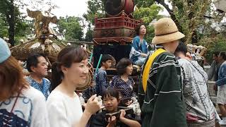 令和元年　お祭り散歩　品川　荏原神社　南睦会　子供神輿渡御　2019.6.8