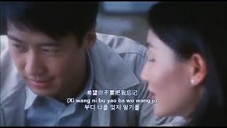 Goodbye My Love(再见我的爱人) 한글자막 / 邓丽君(등려군), 영화 '첨밀밀' OST(1996)