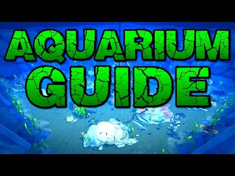 Runescape - Aquarium Guide & Overview! New Fishing Bonuses! Runescape - Aquarium Guide & Overview! New Fishing Bonuses!
