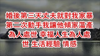 婚後第三天丈夫就對我家暴第二次動手我讓他傾家蕩產#為人處世 #幸福人生#為人處世 #生活經驗 #情感