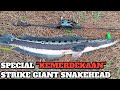 STRIKE Giant Snakehead‼️ Special Kemerdekaan