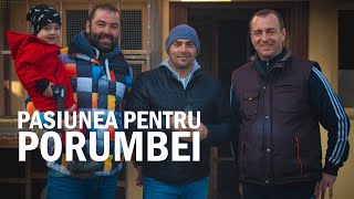 Pasiunea pentru porumbei - Ep 1