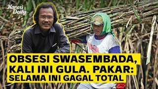 Obsesi Swasembada, Kali Ini Gula. Pakar: Selama Ini Gagal Total | Narasi Daily