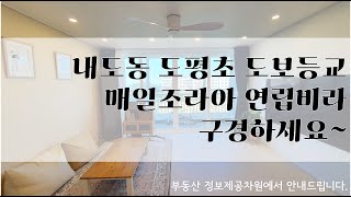 내도동 도평초 도보등교 전체 리모델링 연립 빌라 매일조아라 구경하세요~