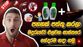 මදුරුවන්ට NO CHANCE  පහනක් පත්තු කරලා මදුරුවෝ එලවමුද  | Kill Mosquitos In 3 Minuts | Home Maide