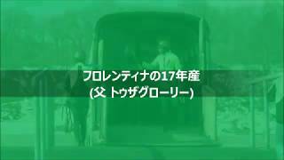 フロレンティナの17年産②（タイキグロワール）調教動画　2019年2月下旬