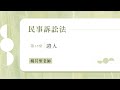 姚其聖《民事訴訟法：證人》（第13堂）試看