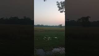 প্রকৃতির অপরুপ সৌন্দর্যের  লীলাভূমি।#tasnimkhan #nature #video #foryou