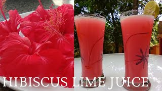 Hibiscus Lime Juice || ചെമ്പരത്തി പൂവ് കൊണ്ടൊരു കിടിലൻ lime ജ്യൂസ് || Ep:67