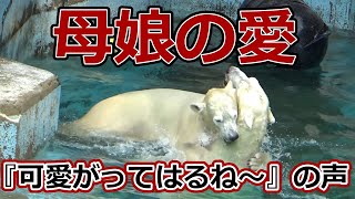 シロクマの母娘の愛『可愛がってはるね～』の声【天王寺動物園】