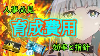 【アークナイツ】育成費用と戦力効率から育成の指針を示す！/各レアリティ対応！！育成に必要な龍門幣、作戦記録もパーフェクト！？人事ドクター必見です【明日方舟/ARK NIGHTS_豆知識#07】