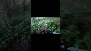 Sandy Ridge rock garden  #mtb #mountainbike  #rideyourbike  #insta360 #gopro