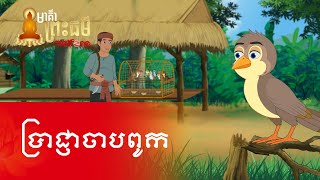 Metfone - មាគ៌ាព្រះធម៌ | Path of Dharma - ប្រាជ្ញាចាបពូក | Sparrow Wisdom