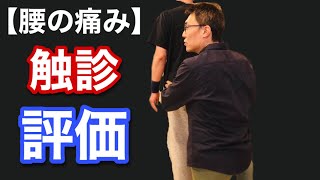 【整体】腰の痛みの触診と評価  #整体　#整体勉強会　#整体セミナー