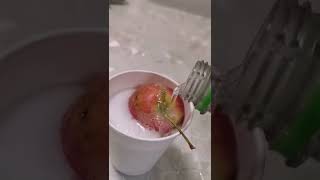 这是世界上最小的苹果雪糕吗? I made the world smallest apple ice-cream #雪糕 #解压 #奇葩 #shorts #icecream