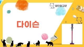 최신 다이슨 제품 리뷰와 사용 후기!