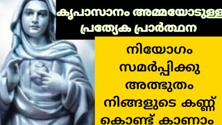 1മിനിറ്റ് കൃപാസനം അമ്മയോടുള്ള  പ്രത്യേക പ്രാർത്ഥന നിയോഗം സമർപ്പിക്കു അത്ഭുതം ഉറപ്പ്