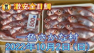 【2022年10月2日】撮影可能店舗が増えました／金目鯛が実質1匹30円台の超破格設定／秋刀魚の脂が徐々に向上／一色さかな村の風景／朝3時45分から撮影／#一色さかな村 #うおけん #魚市場