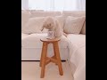 64 cute and funny cat videos compilation 😀 shorts