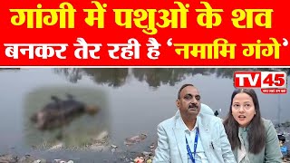 Bhojpur शहर का कूड़ा गांगी नदी के जरिये गंगा में हो रहा दाखिल, देखिए @TV45BJकी Exclusive Report