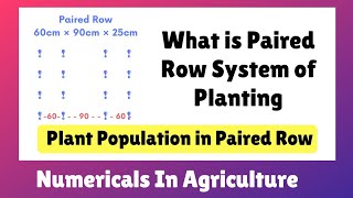 What is Paired Row System of Planting || Numericals on Plant population in Paired Row System