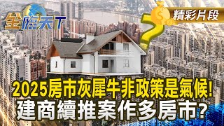 2025房市灰犀牛非政策是氣候！ 建商續推案作多房市？｜金臨天下 20241205 @tvbsmoney