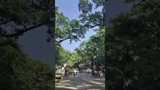 ঢাকার অন্যতম সুন্দর রাস্তা - One of the Most Beautiful Roads in Dhaka