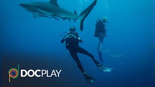 Blue | Official Trailer | DocPlay